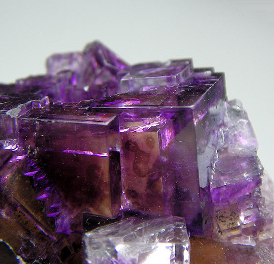Deep purple fluorite crystal specimen with cubic and octahedral formations displaying rich violet and translucent coloration.